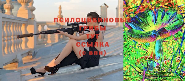 соль ск Алзамай