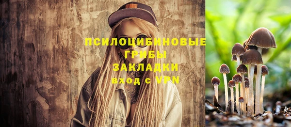 соль курить ск Аркадак