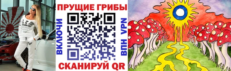 Псилоцибиновые грибы Cubensis Всеволожск