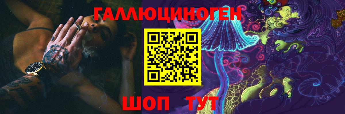 наркота  Псилоцибиновые грибы GOLDEN TEACHER  Вход с VPN  Всеволожск 
